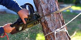 Best Lawn Watering Services  in Oakley, CA