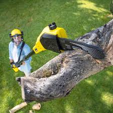 Lawn Drainage Solutions in Oakley, CA